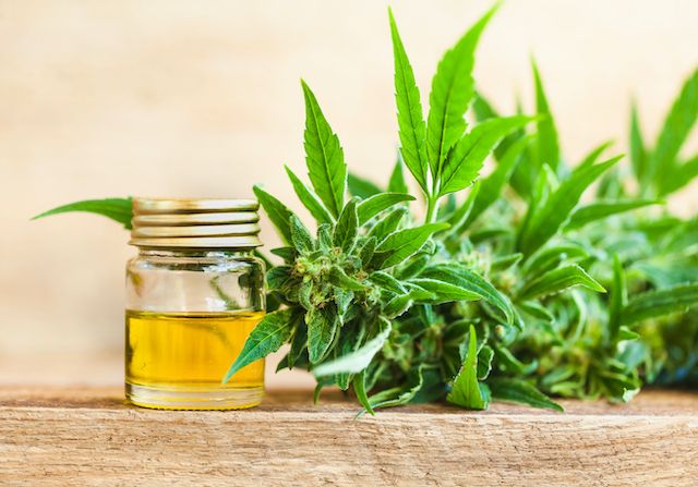 Chanvre et CBD, comment et pourquoi les utiliser ?