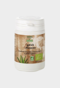 Cyprès & echinacea PlantesBio