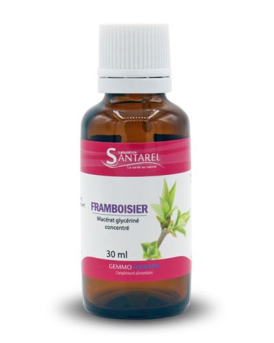 FRAMBOISIER