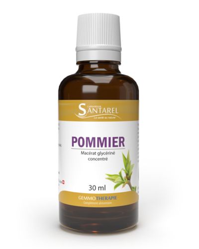 POMMIER