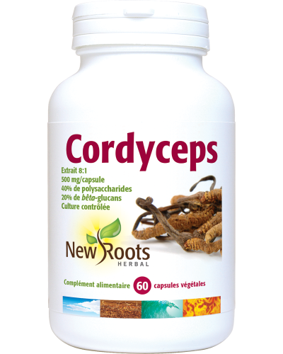 Cordyceps