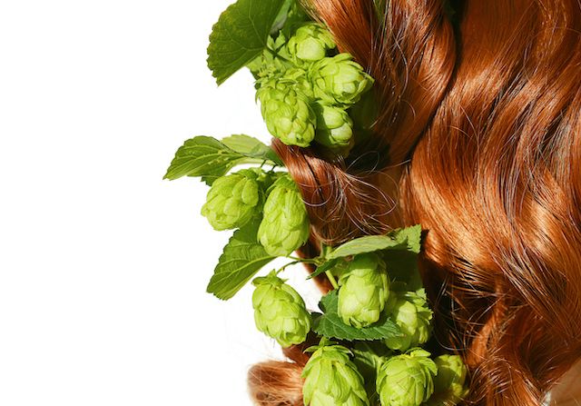 Solutions naturelles pour les cheveux