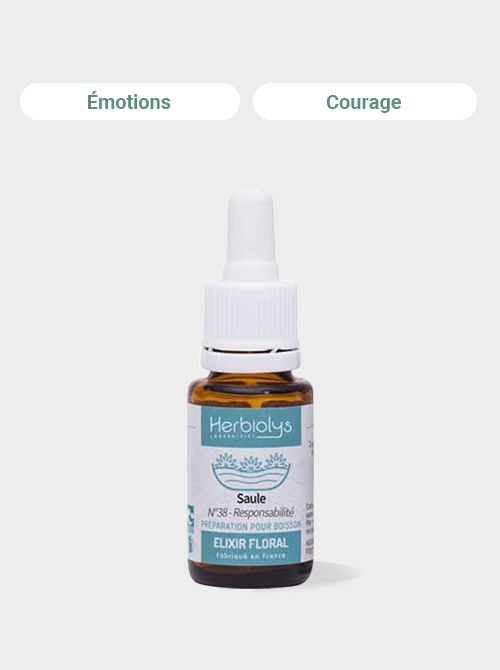 Saule - Fleurs Dr Bach Bio